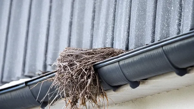 Top 5 Critters Living in Your Gutters